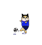 にわか猫（個別スタンプ：17）