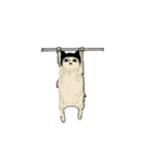 にわか猫（個別スタンプ：24）