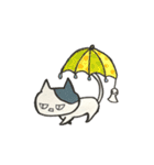 手描き、ねこ（個別スタンプ：29）