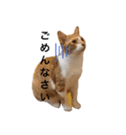 ひまわりと優吾（個別スタンプ：1）