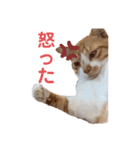 ひまわりと優吾（個別スタンプ：2）