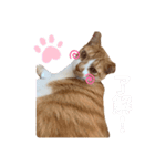 ひまわりと優吾（個別スタンプ：5）