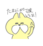 お酒呑むよ！おひげのねこちゃん（個別スタンプ：25）