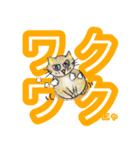まーたん 九州熊本弁 ビビりツリ目ネコ（個別スタンプ：4）