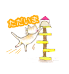 まーたん 九州熊本弁 ビビりツリ目ネコ（個別スタンプ：10）