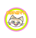 まーたん 九州熊本弁 ビビりツリ目ネコ（個別スタンプ：11）