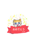 まーたん 九州熊本弁 ビビりツリ目ネコ（個別スタンプ：21）