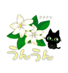 黒猫ちゃん花図鑑・日々の会話に花をそえて（個別スタンプ：11）