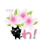 黒猫ちゃん花図鑑・日々の会話に花をそえて（個別スタンプ：15）