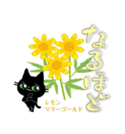黒猫ちゃん花図鑑・日々の会話に花をそえて（個別スタンプ：31）