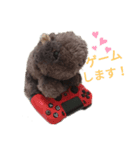 かっこいいウォンバット（個別スタンプ：2）