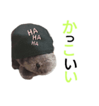 かっこいいウォンバット（個別スタンプ：3）