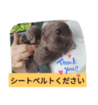 かっこいいウォンバット（個別スタンプ：5）