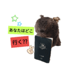かっこいいウォンバット（個別スタンプ：6）