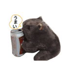 かっこいいウォンバット（個別スタンプ：8）