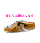 トラチワちゃん☆☆☆（個別スタンプ：2）