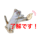 トラチワちゃん☆☆☆（個別スタンプ：6）