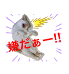 トラチワちゃん☆☆☆（個別スタンプ：7）