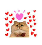 mon_chouchou_le_chat（個別スタンプ：2）
