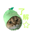 mon_chouchou_le_chat（個別スタンプ：4）