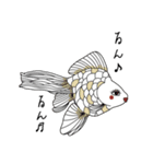 ❤︎レディ金魚スタンプ❤︎（個別スタンプ：14）