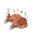 ❤︎レディ金魚スタンプ❤︎（個別スタンプ：25）