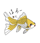 ❤︎レディ金魚スタンプ❤︎（個別スタンプ：26）