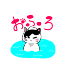 ねこのハクちゃん(日常使)Cat Haku-Daily（個別スタンプ：2）