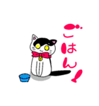 ねこのハクちゃん(日常使)Cat Haku-Daily（個別スタンプ：5）