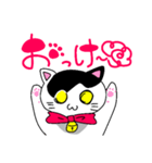ねこのハクちゃん(日常使)Cat Haku-Daily（個別スタンプ：6）