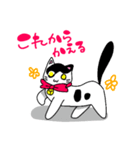 ねこのハクちゃん(日常使)Cat Haku-Daily（個別スタンプ：11）