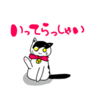 ねこのハクちゃん(日常使)Cat Haku-Daily（個別スタンプ：13）