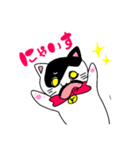 ねこのハクちゃん(日常使)Cat Haku-Daily（個別スタンプ：16）