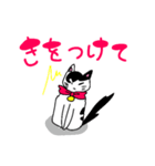 ねこのハクちゃん(日常使)Cat Haku-Daily（個別スタンプ：18）