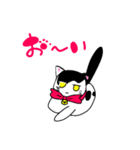 ねこのハクちゃん(日常使)Cat Haku-Daily（個別スタンプ：22）