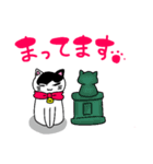 ねこのハクちゃん(日常使)Cat Haku-Daily（個別スタンプ：25）