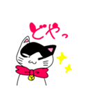 ねこのハクちゃん(日常使)Cat Haku-Daily（個別スタンプ：26）