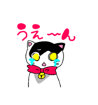 ねこのハクちゃん(日常使)Cat Haku-Daily（個別スタンプ：27）
