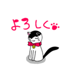 ねこのハクちゃん(日常使)Cat Haku-Daily（個別スタンプ：31）