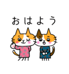 ふくねこのまいにち1（個別スタンプ：1）