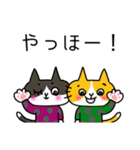 ふくねこのまいにち1（個別スタンプ：10）