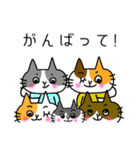 ふくねこのまいにち1（個別スタンプ：22）