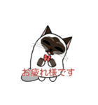ラテさんとクーさん2［敬語編］（個別スタンプ：1）