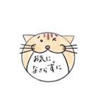 丁度いい敬語を話す、猫スタンプ（個別スタンプ：18）