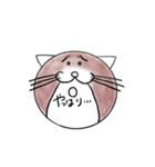 丁度いい敬語を話す、猫スタンプ（個別スタンプ：19）