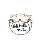 丁度いい敬語を話す、猫スタンプ（個別スタンプ：22）