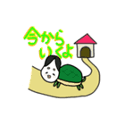 カメのおかめさん。（個別スタンプ：5）