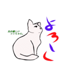 白黒ねこ 愛くるしいスタンプ（個別スタンプ：1）