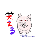 白黒ねこ 愛くるしいスタンプ（個別スタンプ：22）