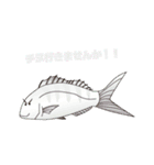 〇〇釣りに行きませんか！！（個別スタンプ：11）